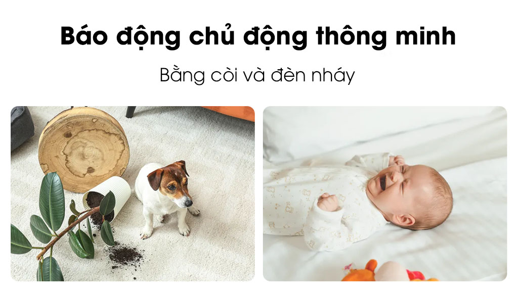 ipc-s2xp-6m0wed b&aacute;o động